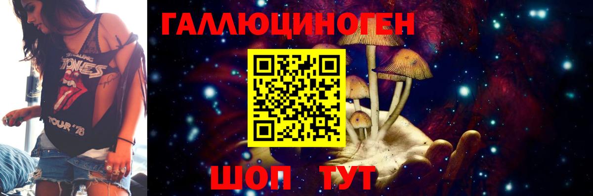 Галлюциногенные грибы Psilocybe  Вход с VPN  Торжок 